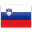 Slovenia Flag