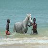 Senegal